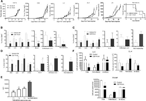 Figure From Of Csf R Induced Tumor Infiltration By Pmn Mdsc D