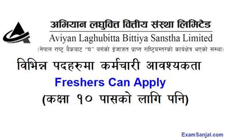 Abhiyan Laghubitta Bittiya Sanstha Job Vacancy Apply Now Exam Sanjal