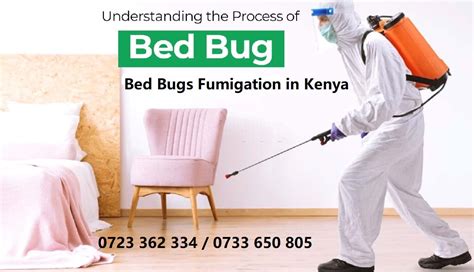 Jopestkil Kenya Bed Bugs Fumigation And Bug Control Services