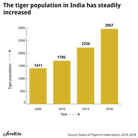 India Home To 2967 Tigers Says Census Revealed On Global Tiger Day