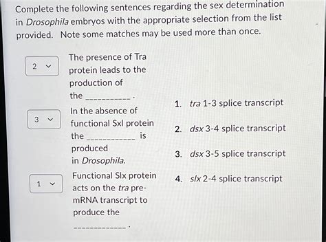 Solved Complete The Following Sentences Regarding The Sex Chegg