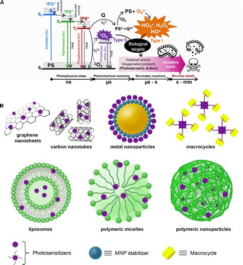 Frontiers Photosensitization With Supramolecular Arrays For Enhanced