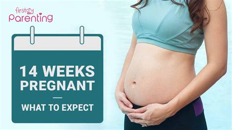 14 Weeks Pregnant What To Expect YouTube