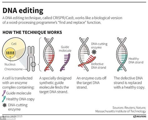 Crispr Gene Tool Can Cause Hundreds Of Unplanned Mutations Daily Mail Online