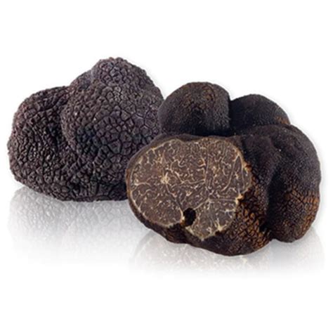 Fresh Black Western Australian Périgord Truffles Per Gram Little Umbria