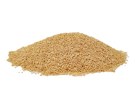 Hulme Organic Amaranth Grain