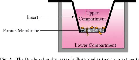 Figure 2 From The Evolution Of Chemotaxis Assays From Static Models To Physiologically Relevant