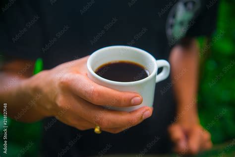 Coffee Beans On The Tree In Bali Indonesia Kopi Luwak Is The Most