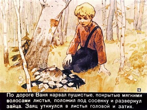 Рисунки к рассказу Заячьи лапы