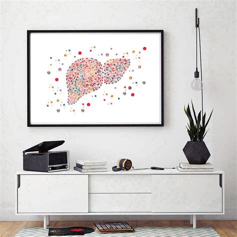 The Liver watercolor print the human liver poster medical art anatomy ...