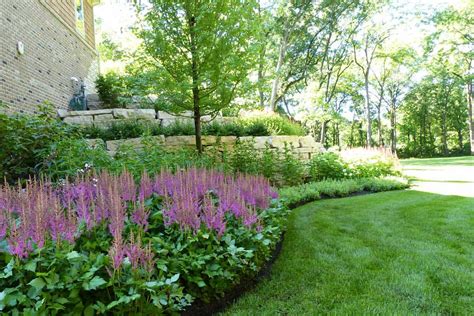 Astilbe Garden Design Fasci Garden