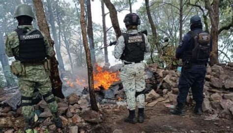 Cayó Uno Y Destruyeron Campamento Del Cjng En Michoacán Infobae