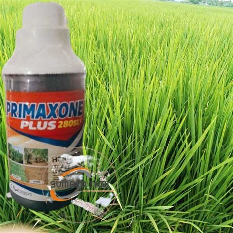 PRIMAXONE PLUS 280 SL 1 Liter Pengendali Gulma Berdaun Lebar CBA