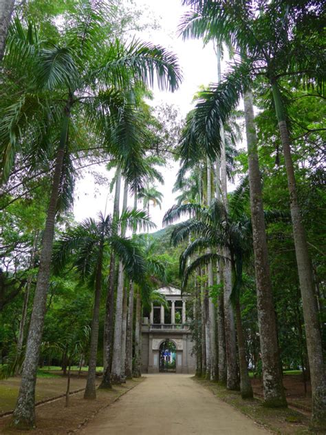 Exploring the Botanical Garden & Rainforest, Rio de Janeiro - The Happy ...