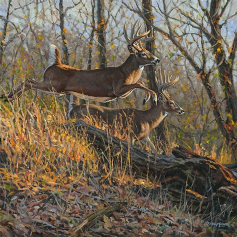 Dream Drive Whitetail Deer Hunting Hunting Art Deer