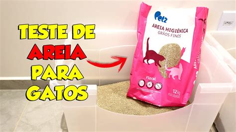 Areia Petz Floral Para Gatos Gatil Hauser Youtube