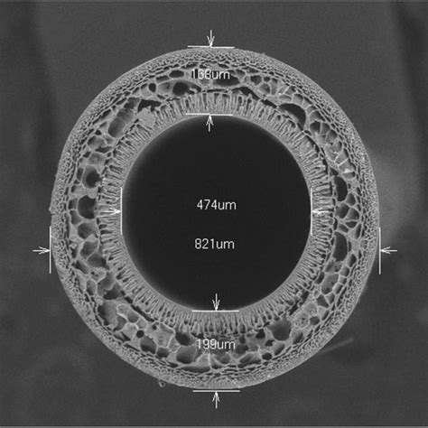 3d View Of The Ultrafiltration Membrane System Download Scientific