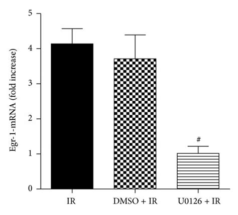 Erk Activation Is Responsible For Egr Expression During Myocardial