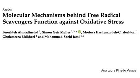 Moleculas Mechanisms Behind Scavengers Pptx