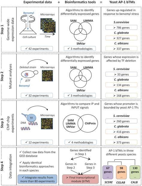 Three Different Sources Of Genome Wide Experimental Datasets