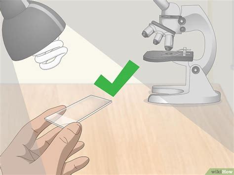 Ways To Prepare Microscope Slides Microscope Slides Microscope Slides