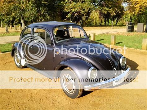 Mexibug I For Sale Volkszone Forum