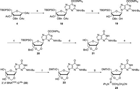 Scheme 5 Reagents And Conditions A Silylated Download Scientific Diagram