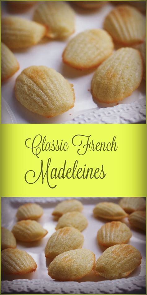 Classic French Madeleines Cookies Spinach Tiger