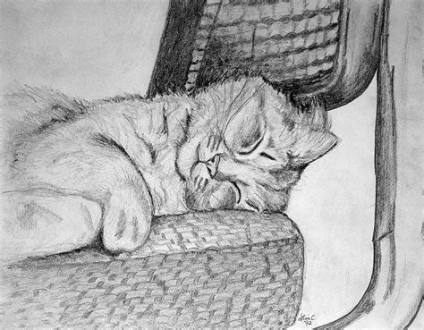 Pencil And Ink Drawings