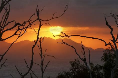 Free Images Tree Nature Branch Cloud Sun Sunrise Sunset Field