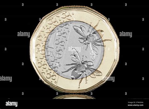 The New Coin Design The First Pound Coin To Feature King Charles