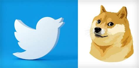 Everything You Need To Know About Twitter New Logo