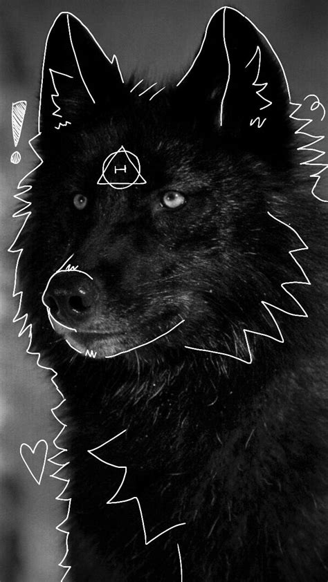 Black wolf pfp | Black wolf, Animal drawings, Warrior cat