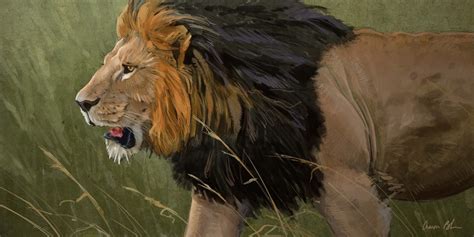 Famous Lion Painting At Explore Collection Of