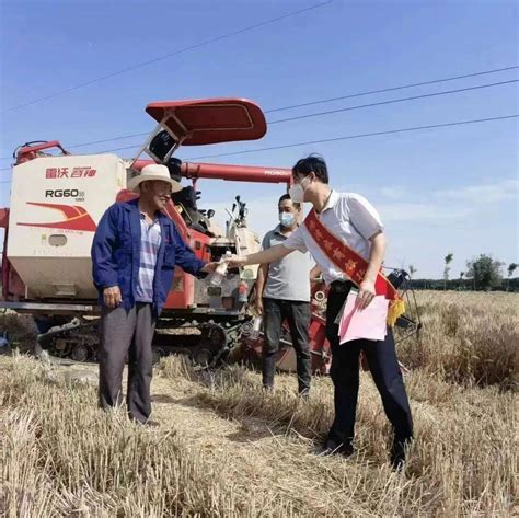 夏粮收购丨鸡泽农商银行多措并举支持夏收夏种服务生产支农