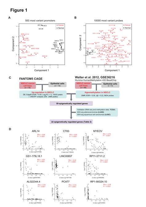 Identification Of Up Regulatedhypomethylated Cage Defined Download Scientific Diagram