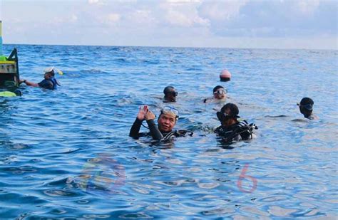 Nikmati Keindahan Bawah Laut Wamen LHK Puji Wisata Taman Laut Olele