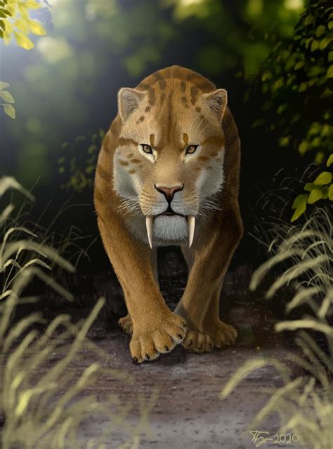 Smilodon By Plioart On Deviantart Smilodon Prehistoric Animals