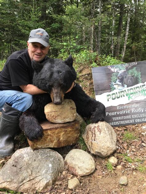 Black Bear Hunting In Quebec Rudy Outfitters Pourvoirie Rudy 2015