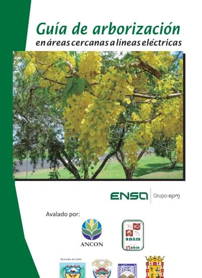 Gu A De Arborizaci N En Reas Cercanas A L Neas El Ctricas