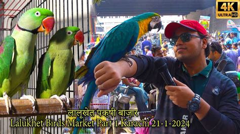 Lalukhet Exotic Hen And Rooster Birds Market Karachi Part