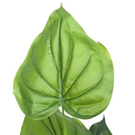 Taro Plant 150cm - Gardeningtoolsonline