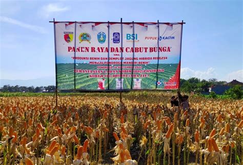 Pupuk Kaltim Gelontorkan Rp3 2 Miliar Tebar Bantuan