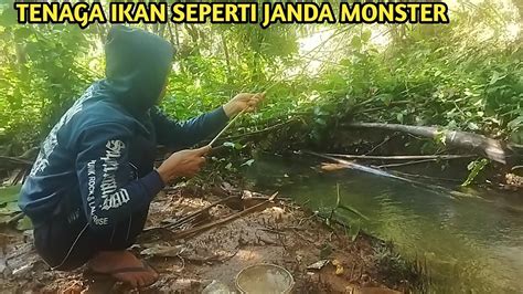 Begini Jadinya Kalau Mancing Ikan Yang Belum Disentuh Pln Bikin Kamu