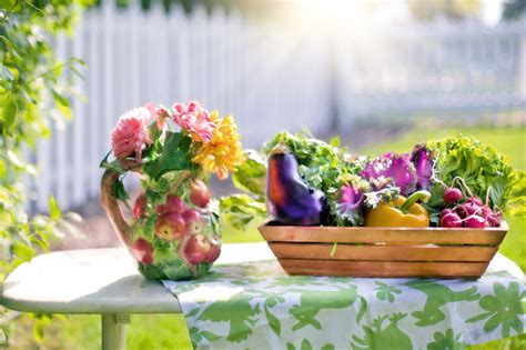 Free Images Summer Meal Green Harvest Produce Garden Lettuce