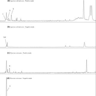 Total Ion Chromatograms Tics Of Ethanol V V Extracts Obtained