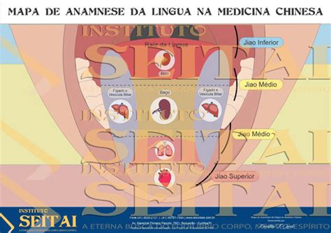 Mapa Anamnese da Língua na Medicina Chinesa | instituto seitai