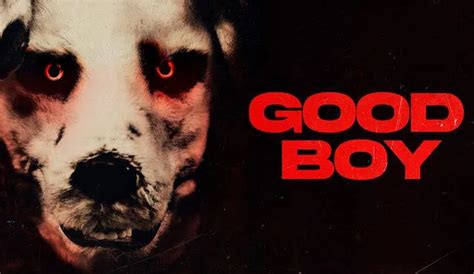 Good Boy 2023 La Película Del Hombre Disfrazado De Perro ¿dónde Ver