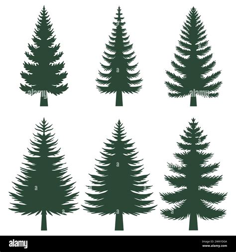 Pine Tree Silhouette Set Collection Stock Vector Image And Art Alamy