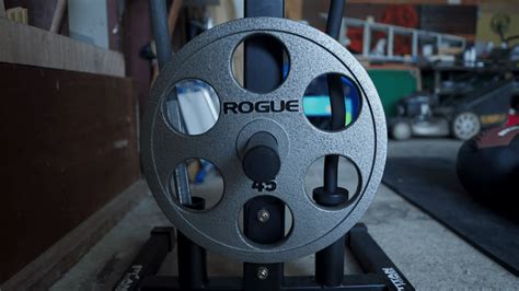 Rogue Deep Dish Plates Review Garage Gym Reviews